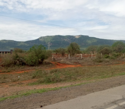 REDD+ as Planetary Sustainability Mechanism