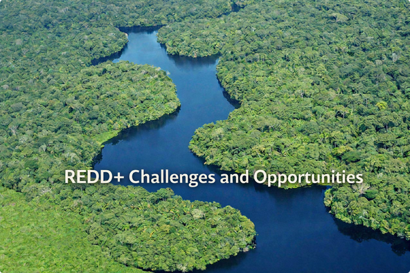 REDD+ Challenges and Opportunities